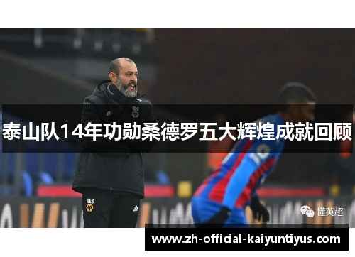泰山队14年功勋桑德罗五大辉煌成就回顾 泰山队14年功勋桑德罗五大辉煌成就回顾