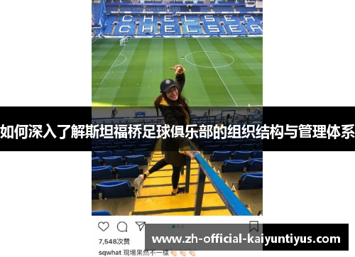 如何深入了解斯坦福桥足球俱乐部的组织结构与管理体系